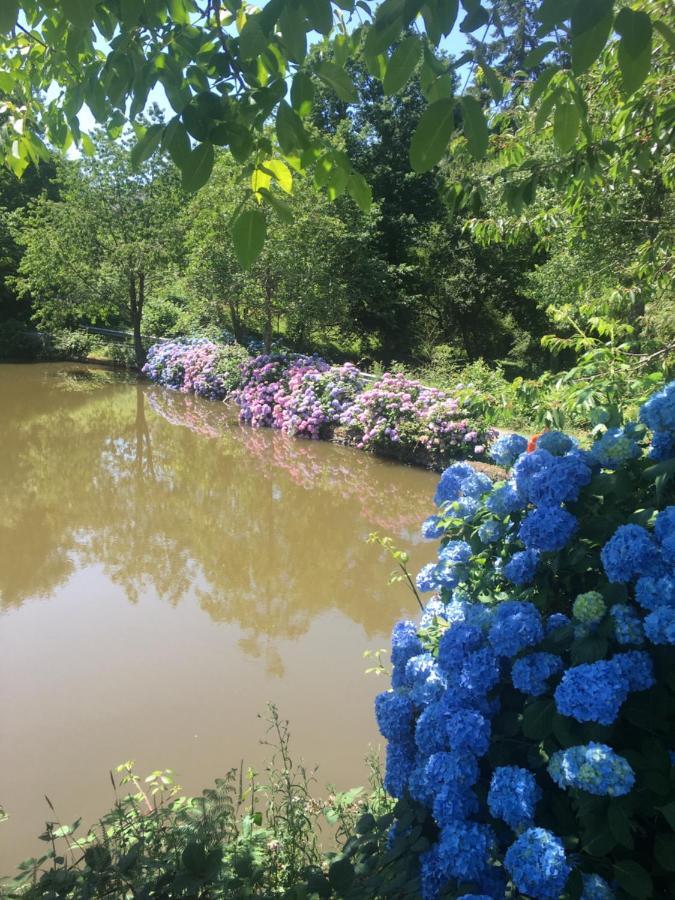 Beautiful unique Barrel in lakeview tranquility Perrou Extérieur photo