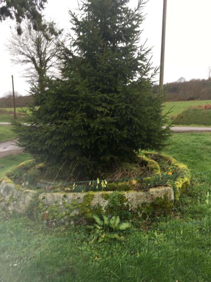 Beautiful unique Barrel in lakeview tranquility Perrou Extérieur photo